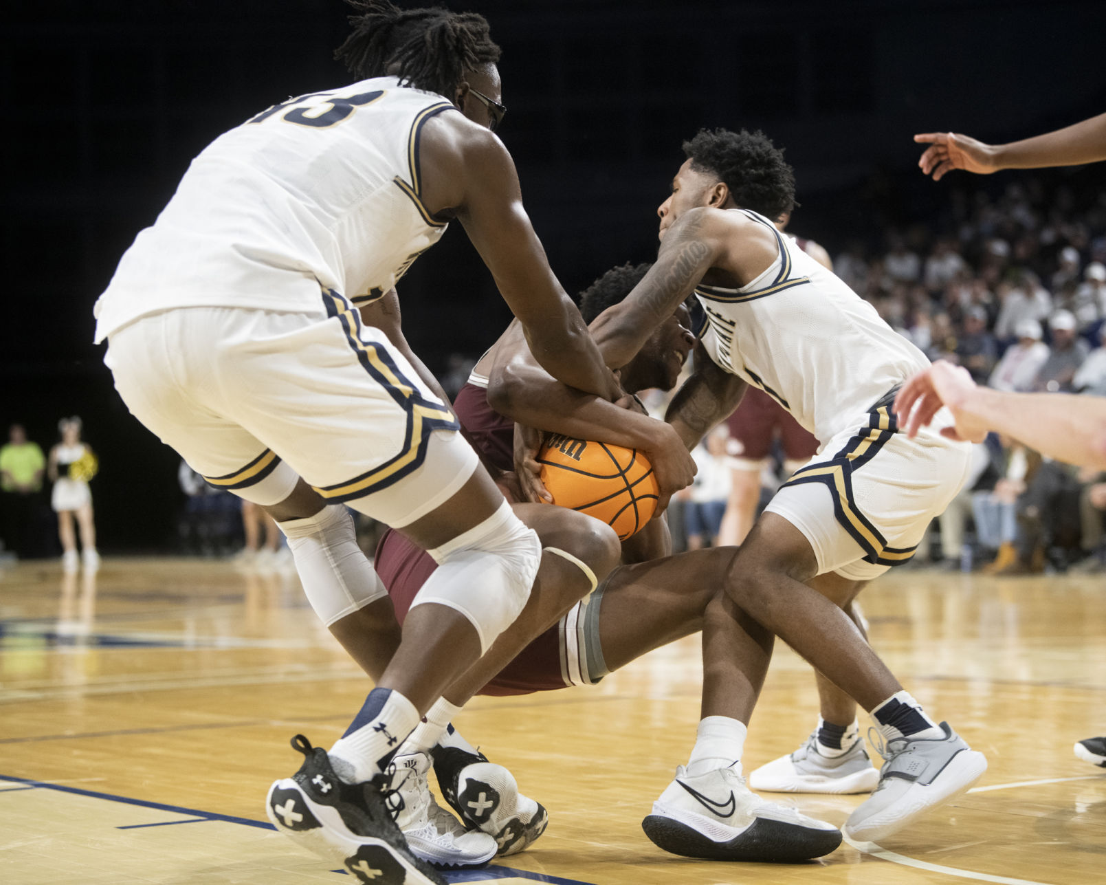 Brawl of the Wild basketball 35.JPG